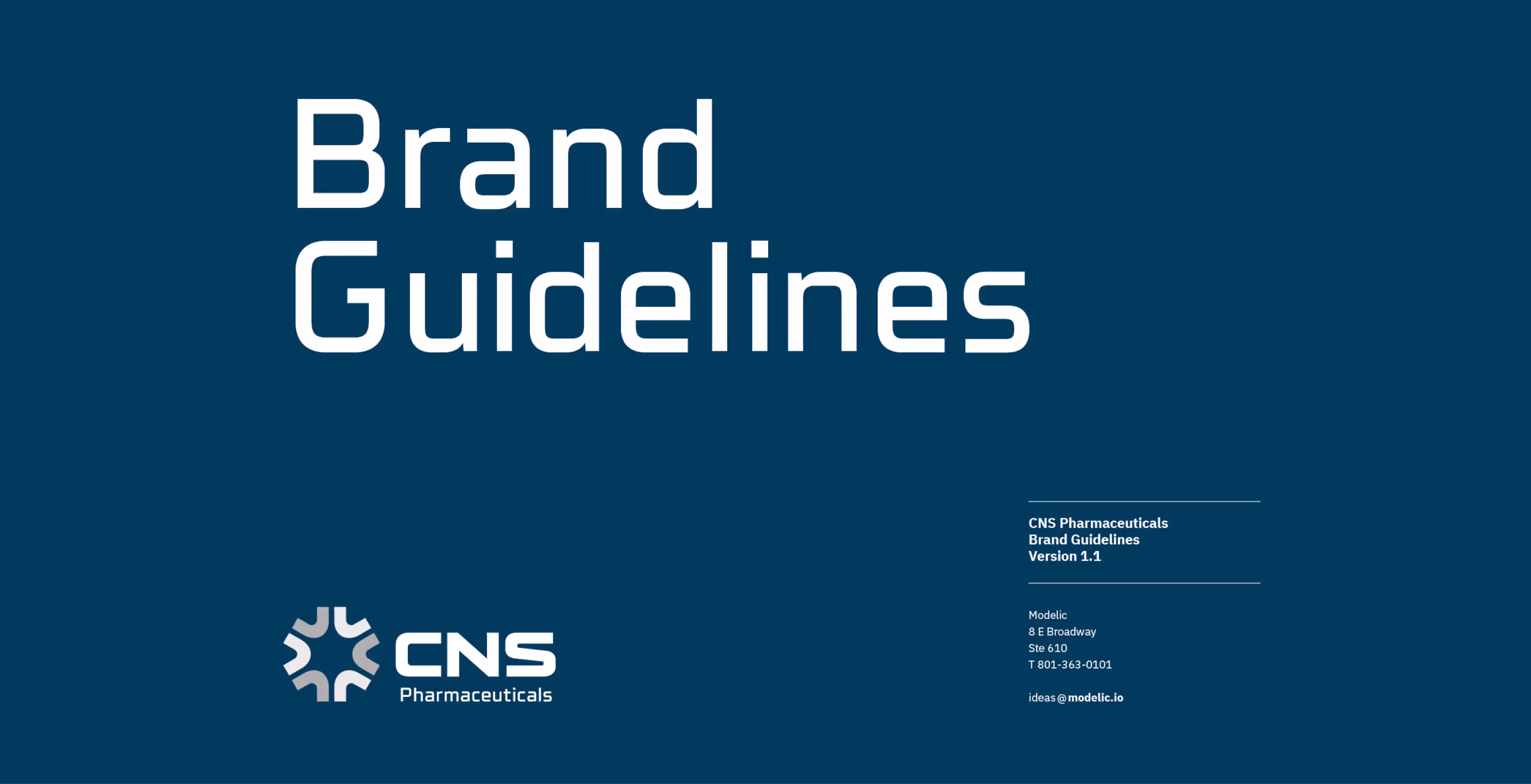 CNS Pharmaceuticals Brand Book cover
